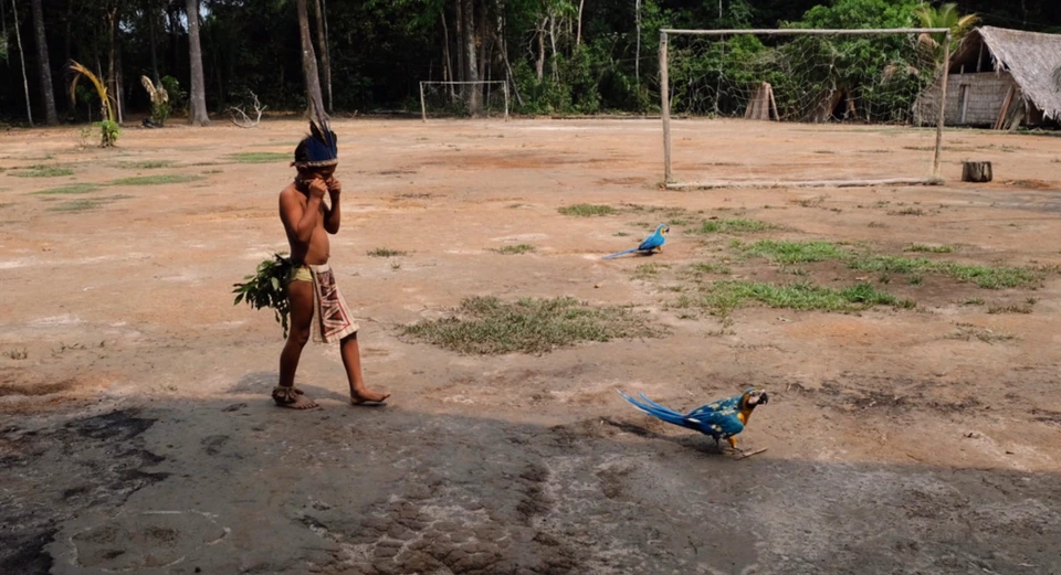 Photographie & Blog — Heliconia Amazonia Turismo