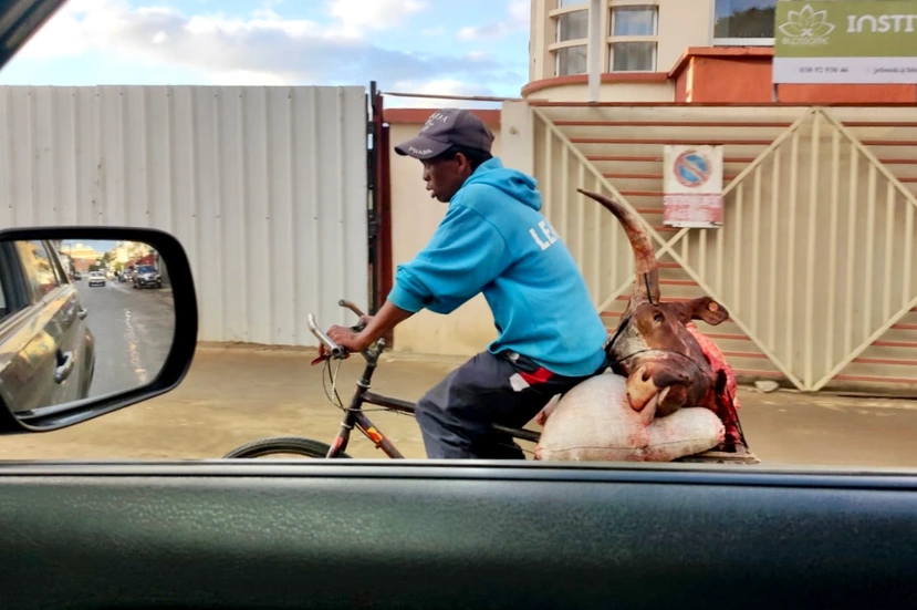 Mission Photojournalisme — Madagascar & Pérou